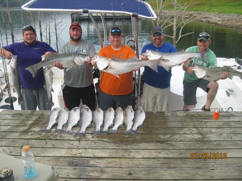 Nice Striped Bass